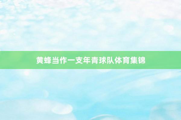 黄蜂当作一支年青球队体育集锦