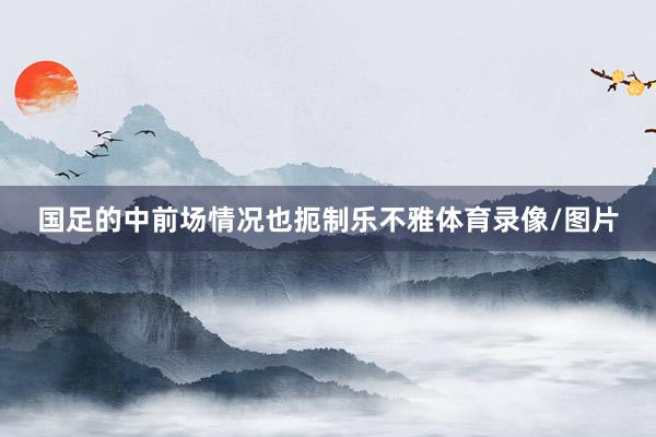 国足的中前场情况也扼制乐不雅体育录像/图片