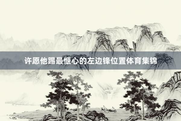 许愿他踢最惬心的左边锋位置体育集锦