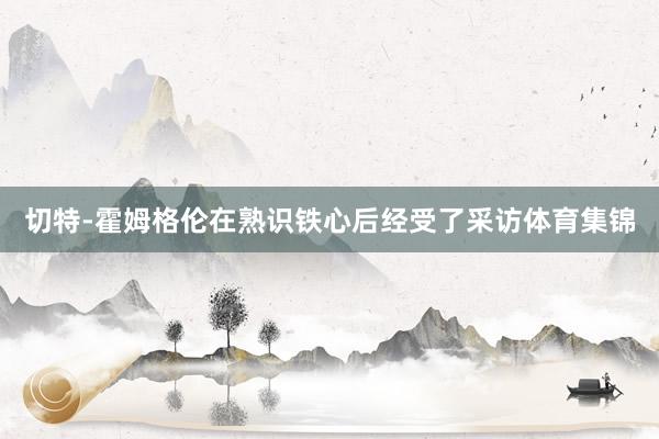 切特-霍姆格伦在熟识铁心后经受了采访体育集锦