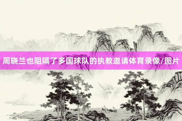 周晓兰也阻隔了多国球队的执教邀请体育录像/图片