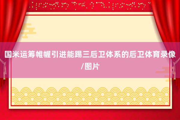 国米运筹帷幄引进能踢三后卫体系的后卫体育录像/图片