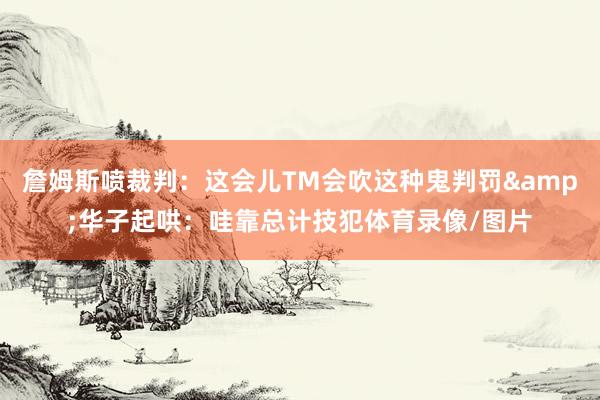 詹姆斯喷裁判：这会儿TM会吹这种鬼判罚&华子起哄：哇靠总计技犯体育录像/图片