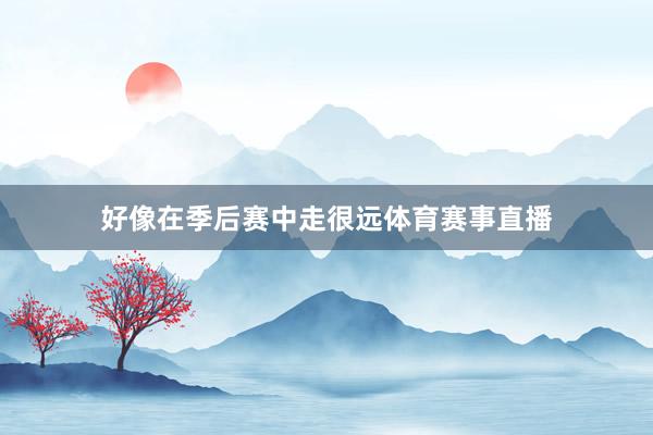 好像在季后赛中走很远体育赛事直播