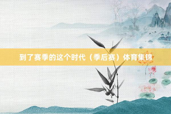 到了赛季的这个时代（季后赛）体育集锦