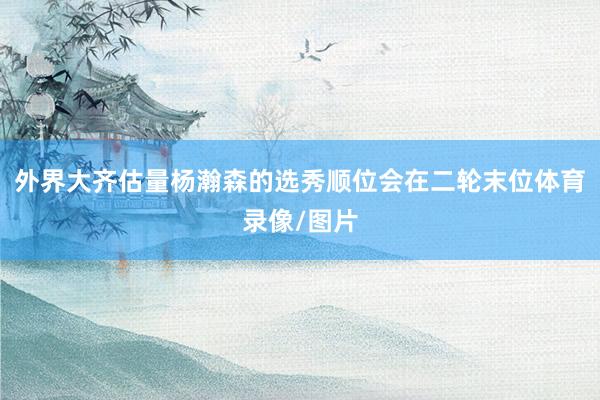 外界大齐估量杨瀚森的选秀顺位会在二轮末位体育录像/图片