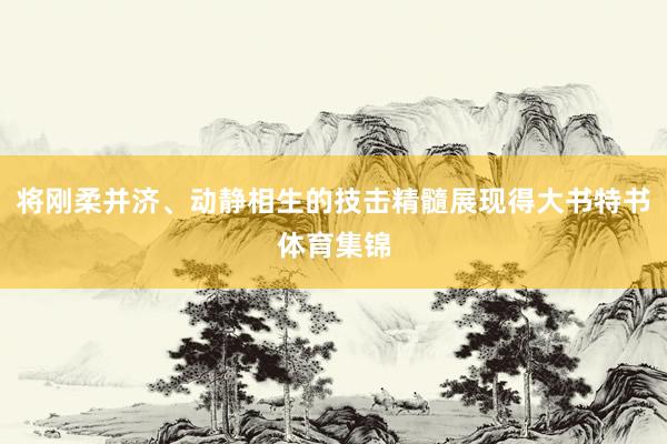 将刚柔并济、动静相生的技击精髓展现得大书特书体育集锦