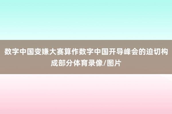 数字中国变嫌大赛算作数字中国开导峰会的迫切构成部分体育录像/图片