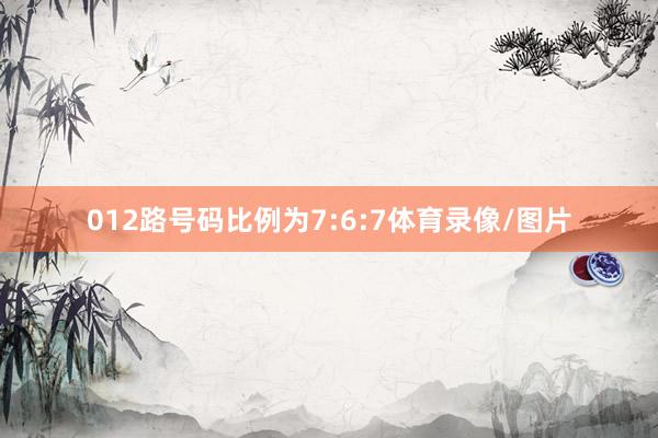 012路号码比例为7:6:7体育录像/图片