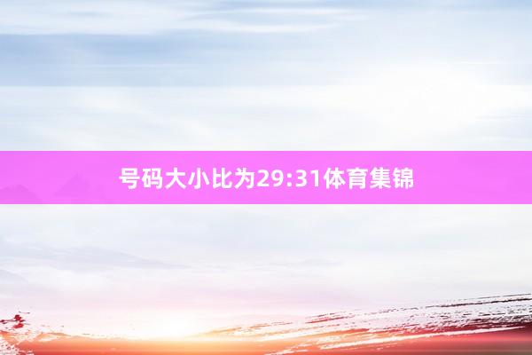 号码大小比为29:31体育集锦