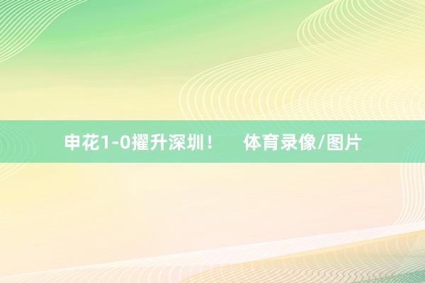 申花1-0擢升深圳！    体育录像/图片