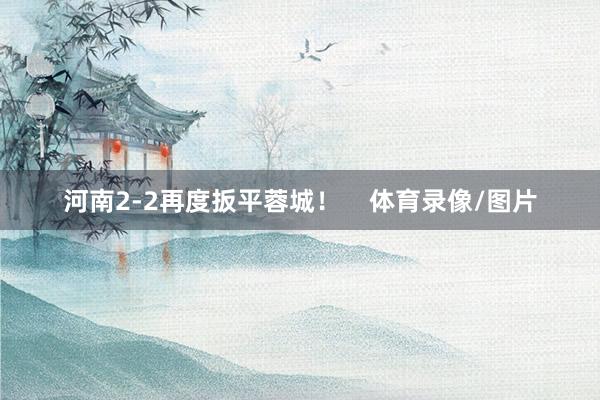 河南2-2再度扳平蓉城！    体育录像/图片