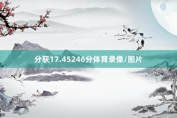 分获17.45246分体育录像/图片