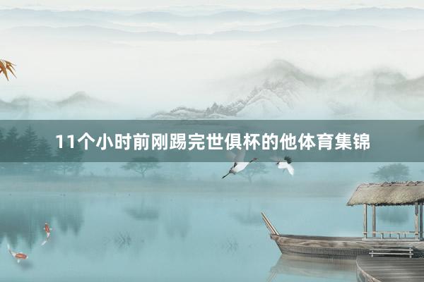 11个小时前刚踢完世俱杯的他体育集锦