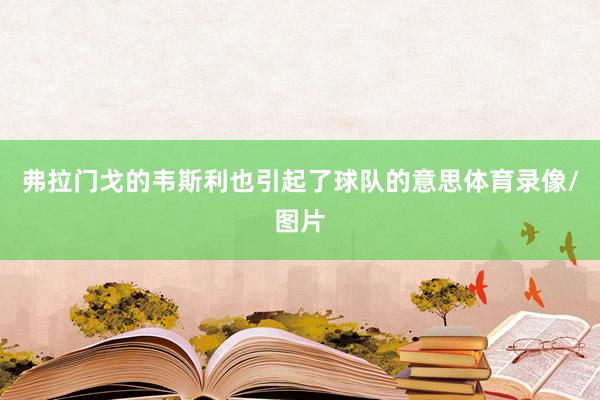 弗拉门戈的韦斯利也引起了球队的意思体育录像/图片