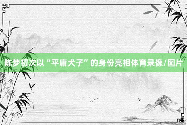 陈梦初次以“平庸犬子”的身份亮相体育录像/图片