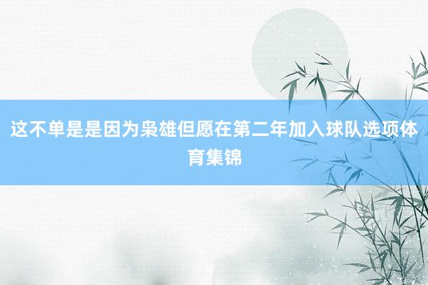 这不单是是因为枭雄但愿在第二年加入球队选项体育集锦