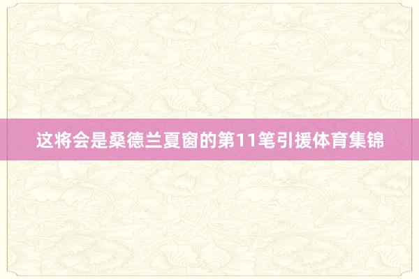 这将会是桑德兰夏窗的第11笔引援体育集锦