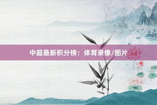 中超最新积分榜：体育录像/图片