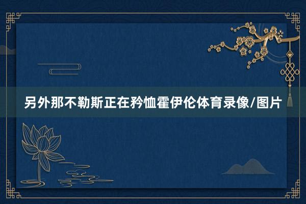 另外那不勒斯正在矜恤霍伊伦体育录像/图片