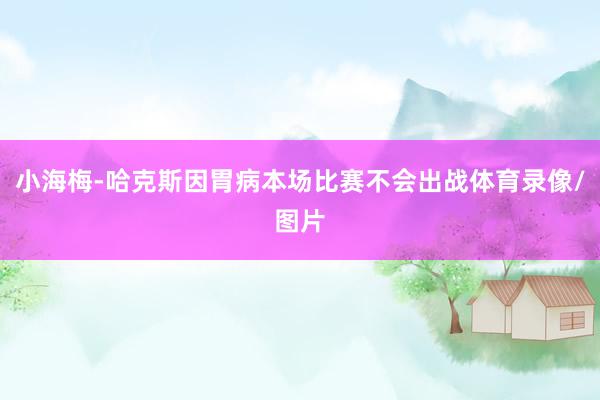 小海梅-哈克斯因胃病本场比赛不会出战体育录像/图片