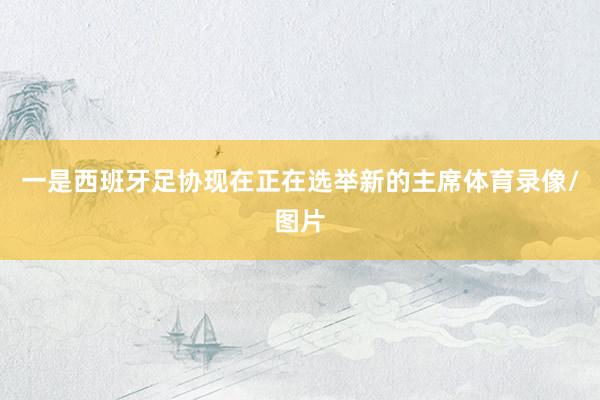 一是西班牙足协现在正在选举新的主席体育录像/图片