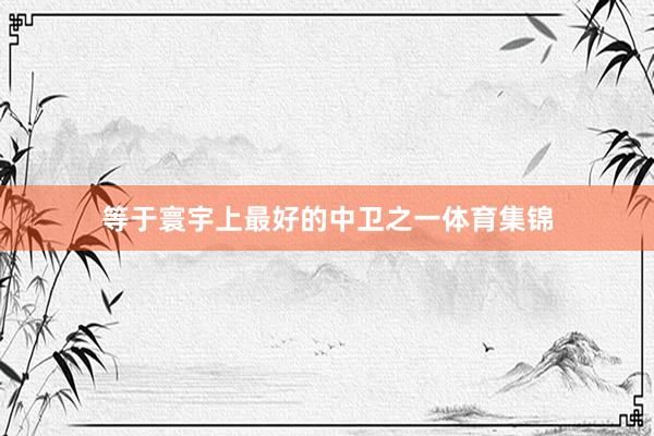 等于寰宇上最好的中卫之一体育集锦