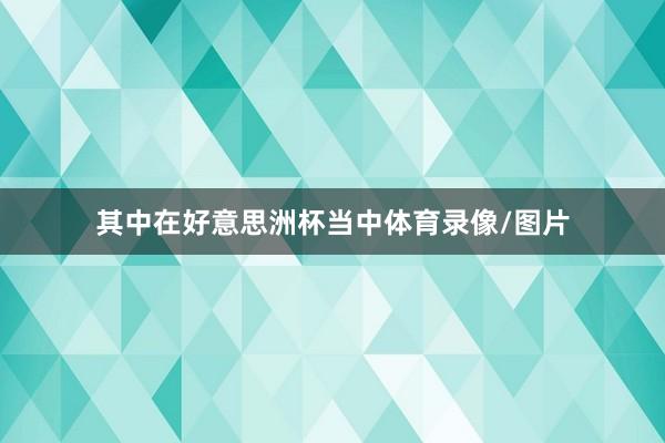 其中在好意思洲杯当中体育录像/图片