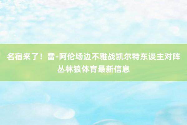 名宿来了！雷-阿伦场边不雅战凯尔特东谈主对阵丛林狼体育最新信息