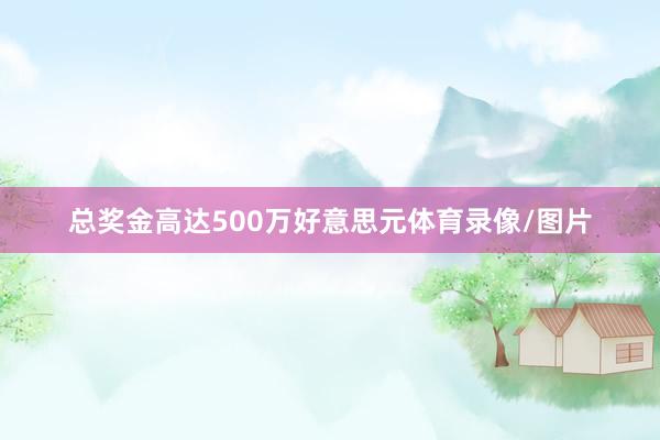 总奖金高达500万好意思元体育录像/图片
