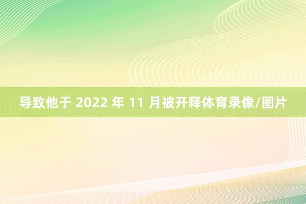 导致他于 2022 年 11 月被开释体育录像/图片