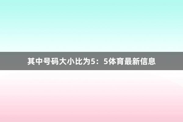 其中号码大小比为5：5体育最新信息