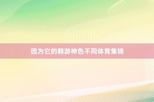 因为它的翱游神色不同体育集锦