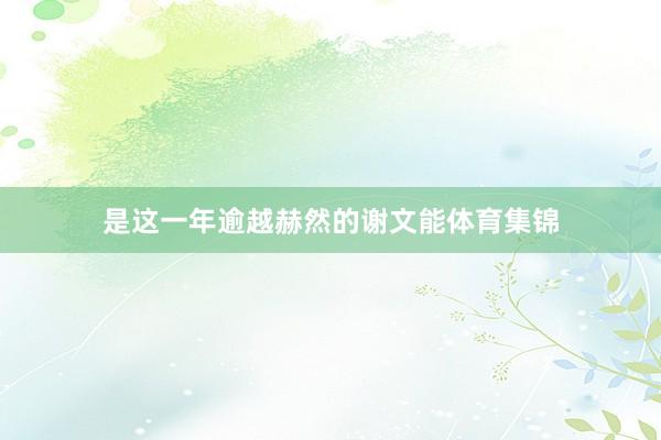 是这一年逾越赫然的谢文能体育集锦