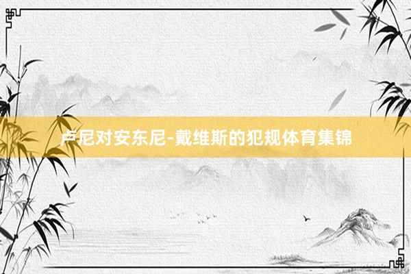 卢尼对安东尼-戴维斯的犯规体育集锦