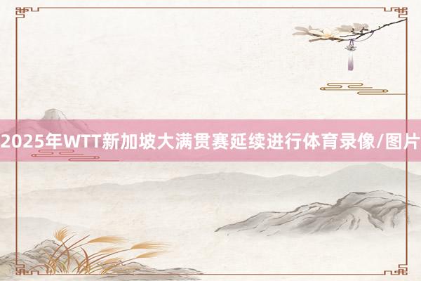 2025年WTT新加坡大满贯赛延续进行体育录像/图片