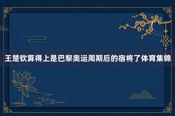 王楚钦算得上是巴黎奥运周期后的宿将了体育集锦