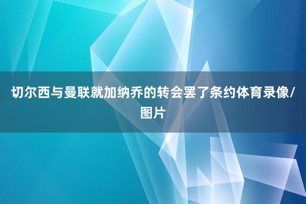 切尔西与曼联就加纳乔的转会罢了条约体育录像/图片
