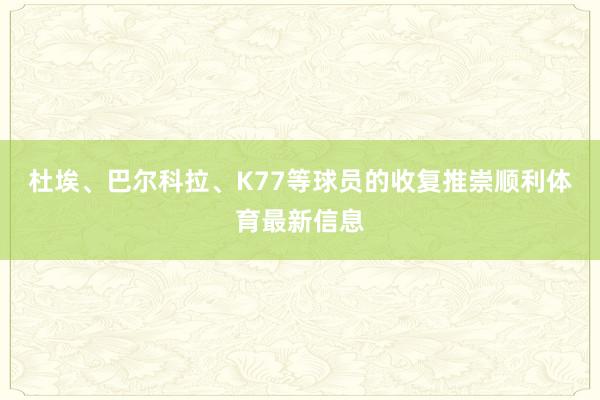 杜埃、巴尔科拉、K77等球员的收复推崇顺利体育最新信息